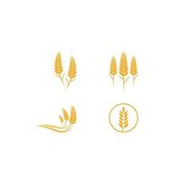 Agriculture wheat Logo Template vector icon