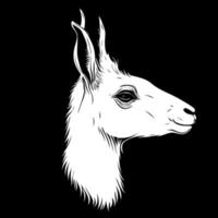 cabeza de animal camélido doméstico llama vector