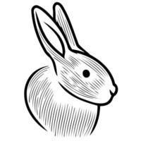 animal head mammal rabbit bunny vector