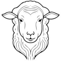 animal mammal sheep head vector