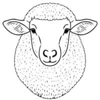 animal mammal sheep head vector