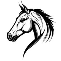 equine horse animal head vector