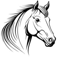 cabeza de animal caballo equino vector