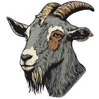 goat mammal animal head vector