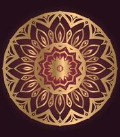 Set of mandala with floral ornament pattern,Vector mandala relaxation patterns unique design with nature style, Hand drawn pattern,Mandala template for page decoration cards, book, logos Free Vector
