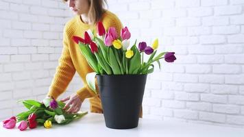 Woman florist dressed in yellow making beautiful bouquet of tulips. front view video