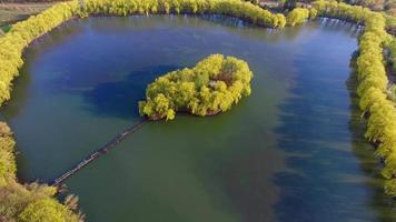 Luftaufnahme einer wunderschönen Insel und wunderbarer Natur video