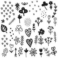 Hand drawn botany design elements in doodle style vector