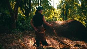 ett asiatisk par gående tillsammans i traditionell grön kostymer inuti de skog medan de man innehav en pinne bredvid de kvinna video