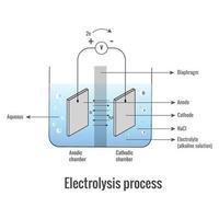 electrólisis de solución de cloruro de sodio vector