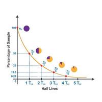 half life curve in nuclear chemistry Vevtor illustration vector