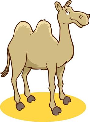 camel cartoon vector illustration isolated on white background.
