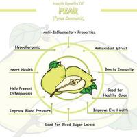 Health benefits of a pear vector