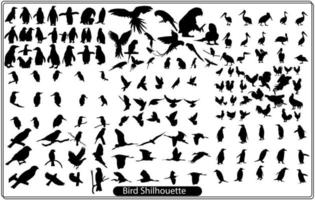 Set of black isolated silhouettes of crows. Collection of different birds position. vector