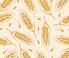 wheat seamless pattern design vector