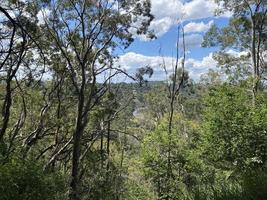 Forest view alongside bushland trial at picnic point parkland, Toowoomba, Queensland, Australia. photo