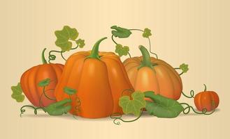 Pumpkins, autumn, pumpkin still life. Vector. vector