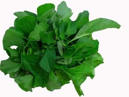 Fresh spinach leaves on a white background seen from above photo