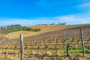 viñedos en toscana italia. provincia de siena foto