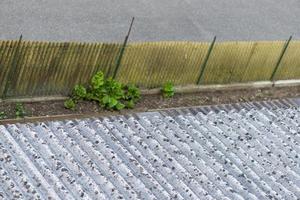 Roof particular asbestos photo