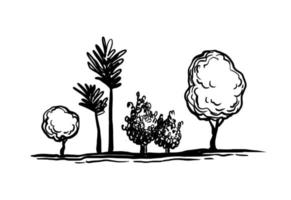 Trees ink sketch. vector