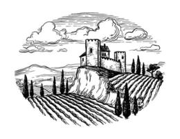 Hand drawn vineyard landscape. vector