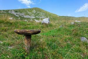 Stool for milking single-legged cows. Typical of shepherds photo