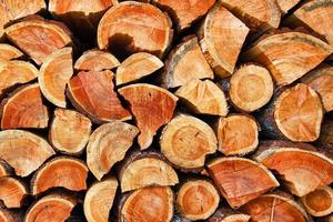 textura de troncos de madera seca picada foto