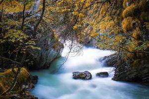 Stream in the forest photo