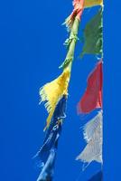 filas verticales de coloridas banderas de oración budista tibetana ondeando i foto