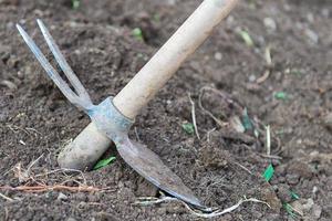 Hoe vegetable garden photo