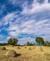 Hay Bale hand made photo