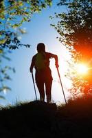 Nordic walking towards the sun in nature