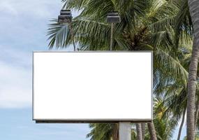 Outdoor pole billboard on coconut tree and blue sky background with mock up white screen and clipping path