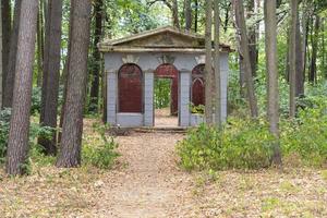 A ruined, brick building in a summer forest, an old and unnecessary building. photo