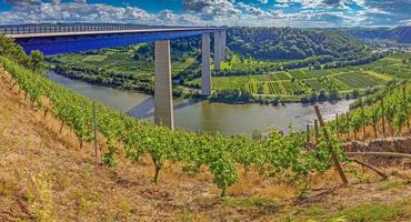 imagen del puente del valle del mosel en alemania con viñedos foto