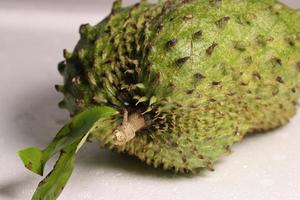 A tropical soursop fruit.  Soursop has Amazing health benefits photo