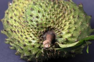 Close up of fresh soursop fruit over black background photo