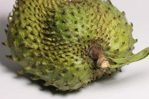 A tropical soursop fruit.  Soursop has Amazing health benefits photo