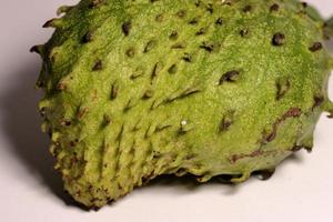A tropical soursop fruit.  Soursop has Amazing health benefits photo