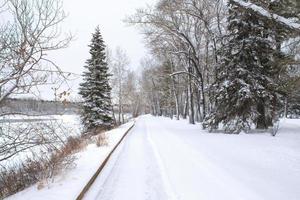 Snowy winter landscape photo