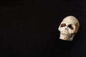 A close-up model of a human skull on a black background, copying space photo