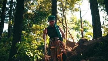 An Asian man in green clothes holding a stick while walking lonely in the forest and enjoying the view video