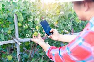 IoT, Internet of Things Modern agriculture smart farming system concept. Internet technology that connects devices and tools. digital computer manage cape gooseberry farm in agricultural industry. photo