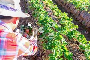 IoT, Internet of Things Modern agriculture smart farming system concept. Internet technology that connects devices and tools. digital computer manage control strawberry farm in agricultural industry. photo