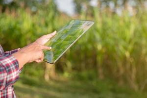 Farmer in corn field using digital tablet for smart farming. Innovation technology for smart farm system, Agriculture management. Concept of smart farming modern agricultural business. photo