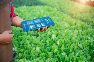 iot, internet de las cosas agricultura moderna concepto de sistema agrícola inteligente. tecnología de internet que conecta dispositivos y herramientas. la computadora digital gestiona el control de la granja de hortalizas en la industria agrícola. foto