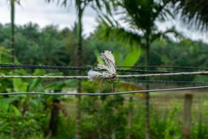 closeup of white clothesline. white rope knot with blurry background. trust concept photo