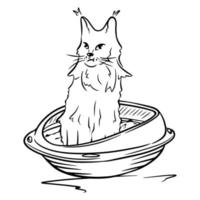 Cat in the cat litter box. Tray for cats. Pet. vector