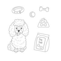 Line poodle sitting with  and toys and dog food on isolated background vector